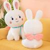 35/45/55 cm Roztomilý vycpaný králík Plyšová hračka Plyšové hračky Polštářek Bunny Kid Polštář Panenka Dárky k narozeninám pro děti Hračka na spaní