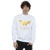 DC Comics Mens Wonder Woman 84 Golden Logo Sweatshirt