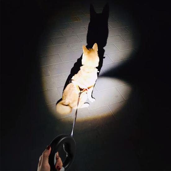 360 Degree Anti-Slip Handle Retractable Small Medium Dog Nylon Leash with LED