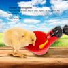5PCS Chicken Bird Automatic Drinkers Water Drinking Cups Bowls (Fixed Screw Water Bowl)