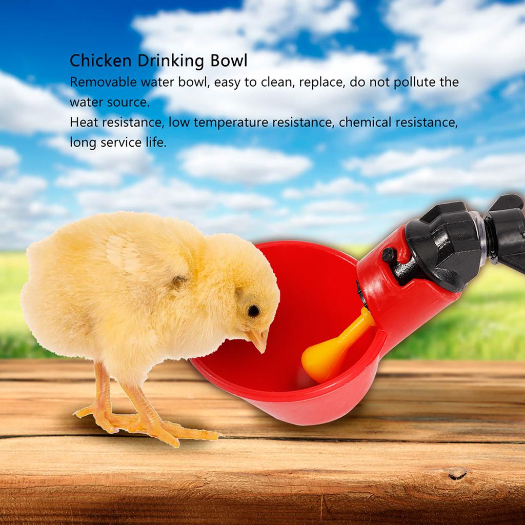 5PCS Chicken Bird Automatic Drinkers Water Drinking Cups Bowls (Fixed Screw Water Bowl)