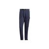 Terrex Voyg Embroidered Logo Sun-Protective Sports Pants Men Bottoms Blue IC8171