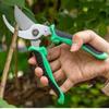 Stainless Steel Professional Gardening Shears, Pruning Branches, Fruit Trees, Flowers, Household Garden Grass Utensils