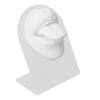 Silicone Tongue Mouth Model With Display Stand Simulated 3D Tongue Piercing Body Practice Model