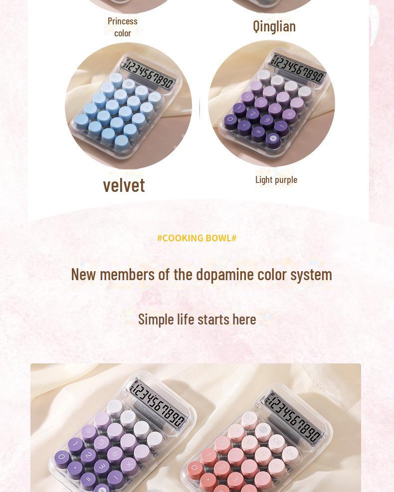 Large Transparent Button Calculator with Big Screen - 10-Digit Student Edition