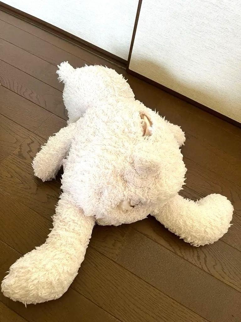 [USED] Gelato Pique Tissue Case, Teddy Bear, Pink