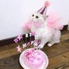 Pet Birthday Party Set: Dog Bandana, Banner & Hat