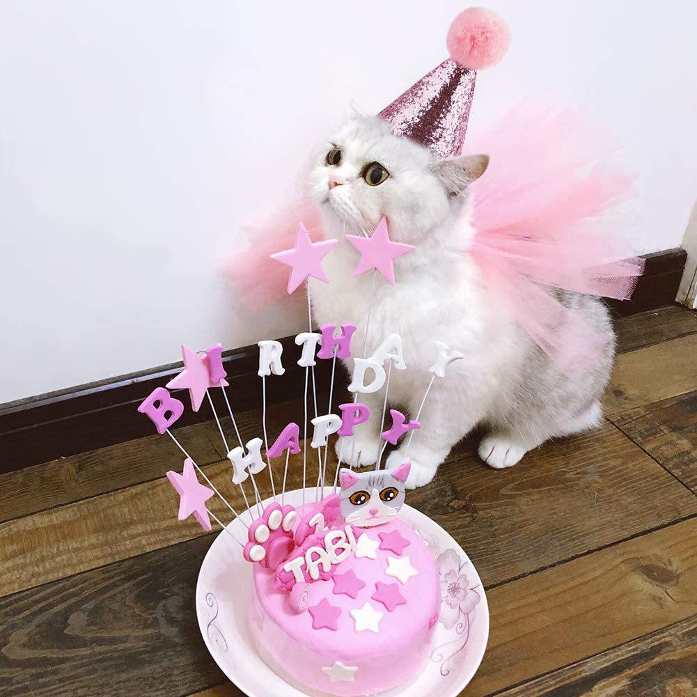 Pet Birthday Party Set: Dog Bandana, Banner & Hat