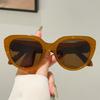 Oversized Cat Eye Sunglasses Women New Fashion Candy Color Rim Decor Sun Glasses Lady Trendy Brand Design Outdoor Shades