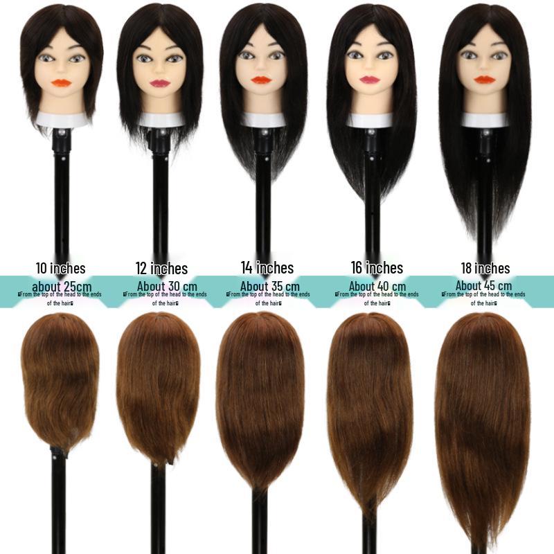 Real Hair Mannequin Head for Hairdressing: Perfect for Barber Apprentices, Perming, Dyeing, Cutting, Blowing, and Styling.