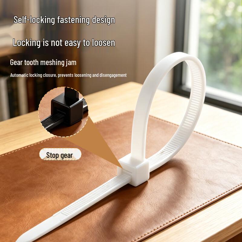 BIAZE Self-Locking Nylon Cable Ties