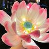 Handmade Twisted Stick Lotus Flower Lantern Glowing DIY Material Package Chinese Traditional Lantern with LED Light
