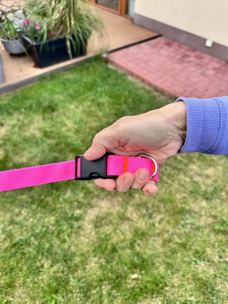 Dog Leash with Shock Absorber 280cm NEON PINK Adjustable Sports