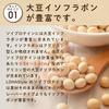 LOHAStyle Quick-Mix Soy Protein with Kinako from Hokkaido, 500g, No Additives, No Artificial Sweeteners, GMO-Free Soy Protein