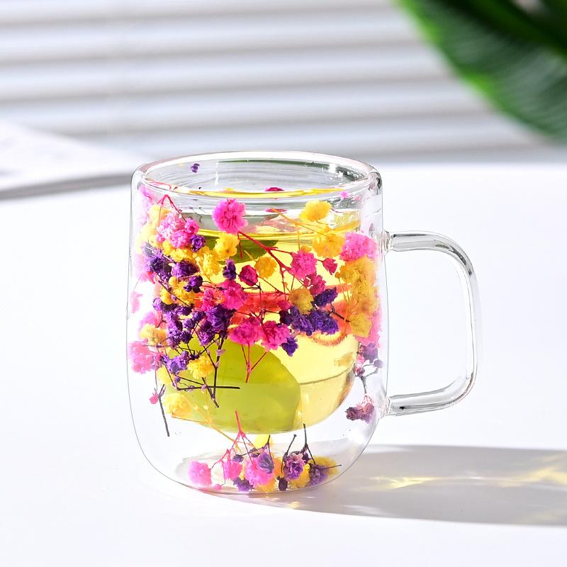 Double-Wall Dried Flower Glass Mug - Heat-Resistant Decorative Coffee/Tea Cup (Multi-Color Options)
