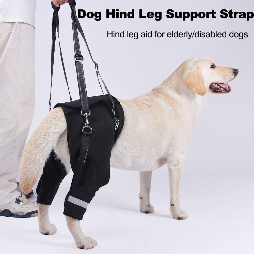 Pantaloni Supporto Anca Cane Imbracatura di Sollevamento Manico Robusto Nero Strumento di Assistenza Animale Domestico Supporto per Zampe Posteriori Cane Imbottito Morbido Regolabile