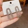 Temperament Metal Long Chain Tassel Earrings Unique Design Fashionable Earrings Light Luxury High-end Earrings