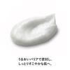 Exbarrier KOSE Filnaturant Repair Cream I 44g (Moisturizing)