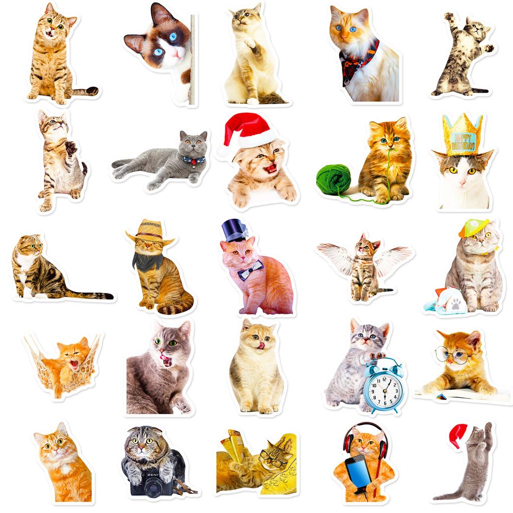 50 Realistic Cat Stickers, Cute Cat Cartoon Graffiti Stickers, Notebook Stationery Box Stickers