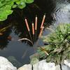 Aged Bronze Garden Stakes 12 Inches Tall Beautiful Outdoor Marker For Landscaping And Edging