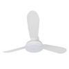 Ceiling Fan with Light and Remote 3000K 6500K Dimmable Modern Flush Mount Fan Light for Bedroom Kitchen Garage