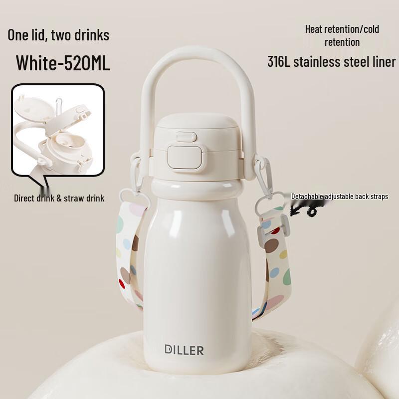 Diller Portable Insulated Straw Water Bottle