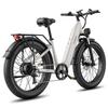 Bicicleta Elétrica Fafrees F26 Rover Motor 250W Pneu Gordo 26" Bicicleta Elétrica para Adultos Todo o Terreno 48V 20Ah Freio a Disco Hidráulico 7 Velocidades Carga Máxima 150Kg