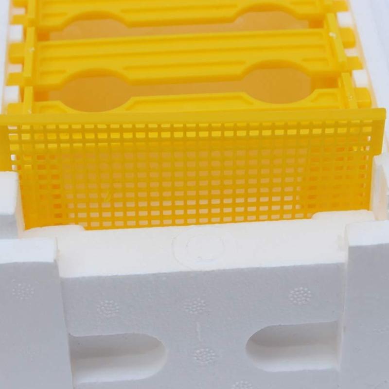 Foam Hive Bees Mating Box Beekeeping Tool Sturdy Accessories Professional Practical Foam Bees Breeding Box Development
