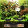 Aquarium Decorative Tunnel for Fishtanks Hiding Shelte Cave Tunnel Safe ABS for Underwater Landscape Accessories