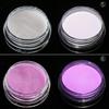 2g Mirror Effect Luminous Nail Powder Fluorescent Glitters Manicure Pigment