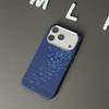 Kevlar Carbonfaser Magnetische Schutzhülle für iPhone 17 Pro Max