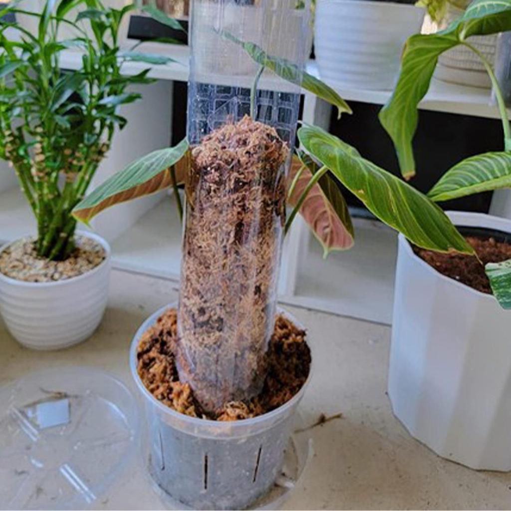 Monstera Moss Pole Plant Support Poles Garden Growth Stake Plastic Moss Pole for Plants Monstera for Indoor Climbing Plants