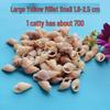 Conch Shells & Starfish for Hermit Crabs: Aquarium Decor & Drift Bottle Accessories