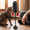 Saugnapf Katze Boxspielzeug Kratztrainer Interaktives Katzenspielzeug Katzenboxspiel Kätzchen Necken