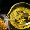 Organic Osmanthus Flower Tea Gui Hua Natural Chinese Herbal Drink Premium