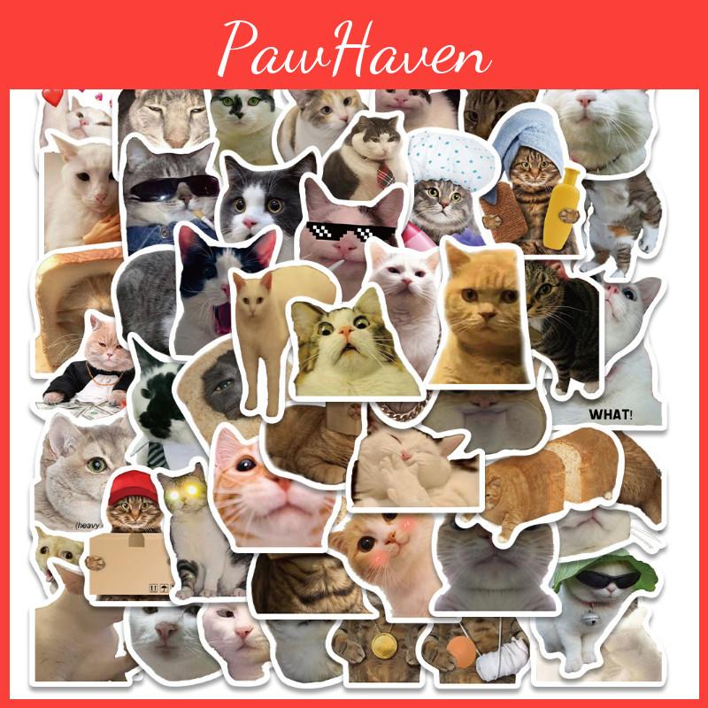 Cute Cat Doodle Stickers For Luggage Notebooks Water Bottles And More! Waterproof And Adhesive.