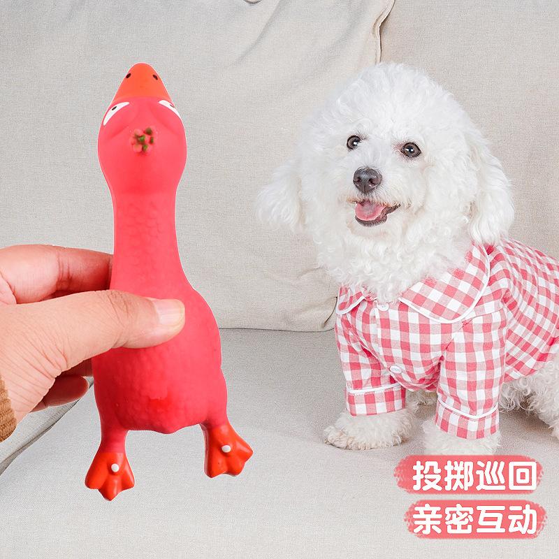 Pet Toys Made of Natural Latex, Releasing The "chick Copulation" Sound, Highly Durable and Easy To Chew Latex Toys for Chickens and Dogs.
