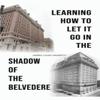 Learning How To Let It Go In the Shadow of the Belvedere by James... 9781649799012