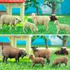 TOYMANY 8-Piece Farm Animal Figure Set, Sheep Figures, Sheep Family Set, Sheep Model, Parent and Child, Realistic Animal Model, Popular Animal Toy,