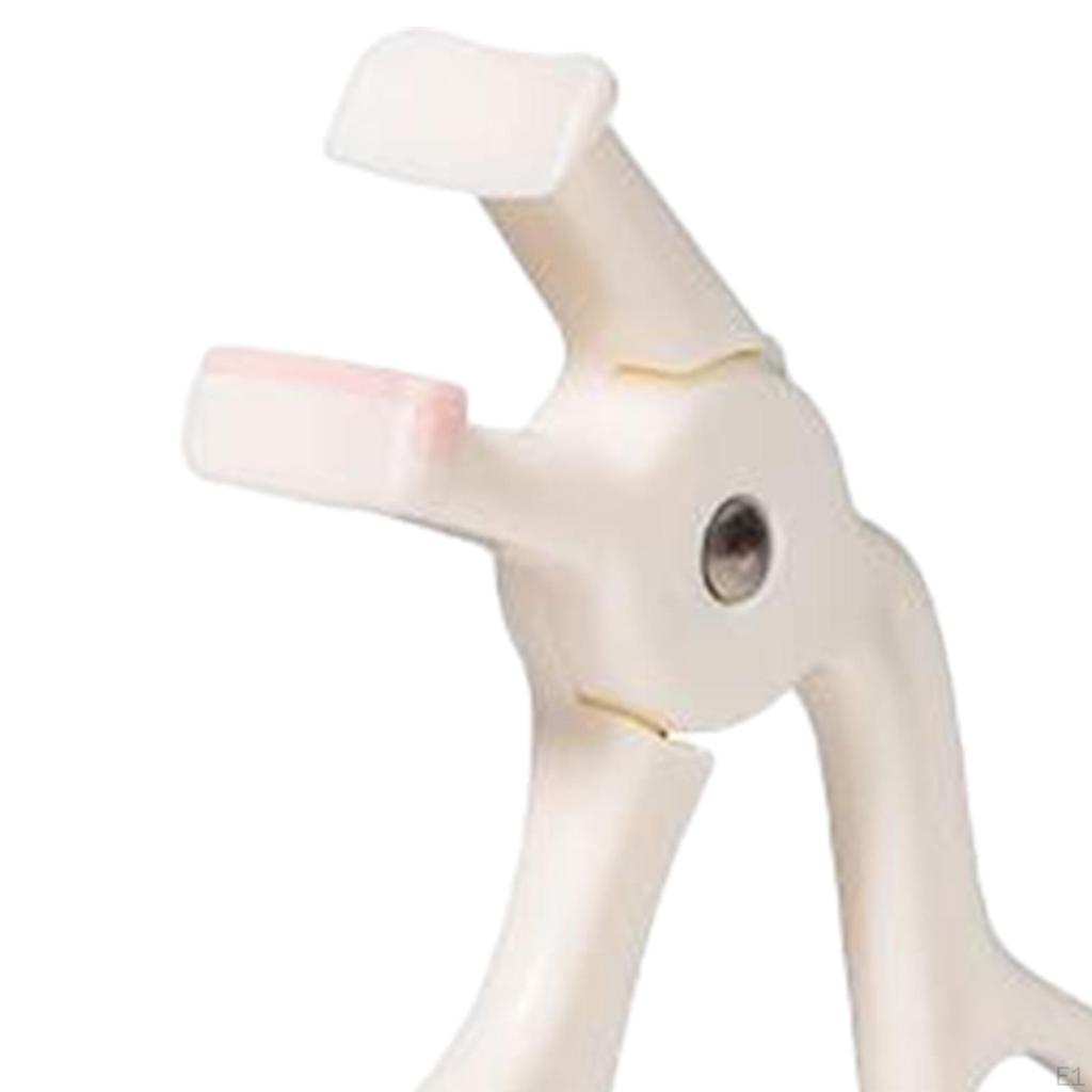 Beauty Eyelash Curler 5D Tool Precision Control Lash Makeup No