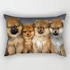 Home Autumn Decoration Oil Painting Style Pillow Cushion Cover Decorations Throw Pillow Cover 30*50 Pillowcase 30x50 40x60 50*70