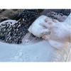 Smooth Operator SE-MD-WP01 Car Wash Sponge, Microfiber Wash Pad, Long Fiber, Good Foam, Scratch Resistant