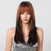 ALAN EATON Light To Dark Brown Layered Wig Long Straight Synthetic Wig Ombre Brown Wig with Bangs for Women for Daily Party Hair