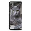 Britische Kurzhaarkatze Fall für Samsung A24 A12 A14 A32 A50 A70 A20E A20S A10 A10S A22 A30 A40 A34 A54 A42 A52 5G A04s A72 Abdeckung