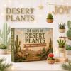 Calendario dell'Avvento Piante Desertiche Mini Succulente Cactus Ciondoli Conto alla Rovescia di Natale Scatola Cieca