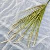 Artificial Green Plant 7head Dogtail Grass For Home Garden Decor And Event Photography