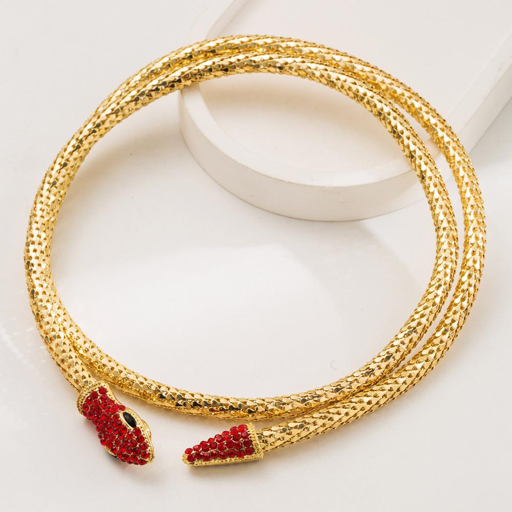 

Creative and Unique Snake-shaped Hollow Chain Necklace for Women, Made of Alloy, with Personalized Long Pendant Decoration. червоний