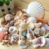 100g Mixed Shape Landscape Ornament Seashell Conch Aquarium Mini DIY Craft Decor