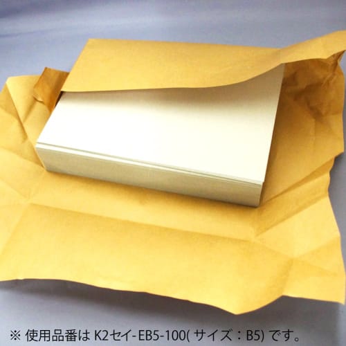 KOKUYO File Board Cover K2 A4 100 Sheets K2Sei-EA4-100
