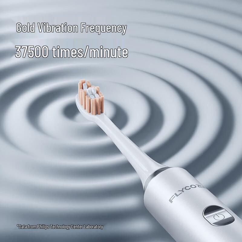 FLYCO FT7205 Smart Sonic Electric Toothbrush